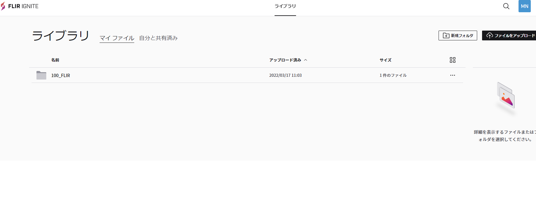 FLIR Igniteの設定手順